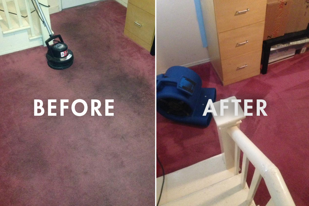 DVA Carpet Cleaning Palmdale, Lancaster, Acton & More